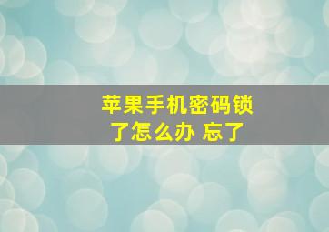 苹果手机密码锁了怎么办 忘了